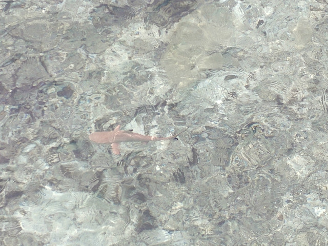 20170303_122501.jpg